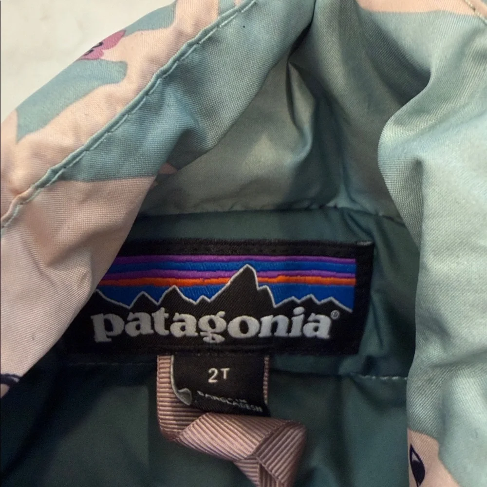 Patagonia‎ kids buffalo print down coat jacket 2T